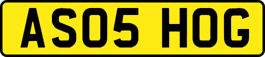 AS05HOG