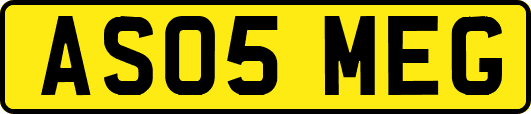 AS05MEG