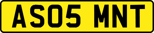 AS05MNT
