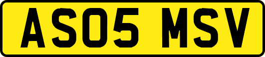 AS05MSV
