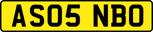 AS05NBO
