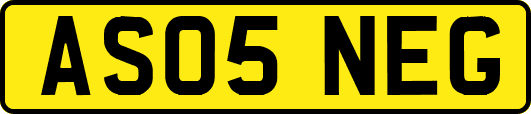 AS05NEG
