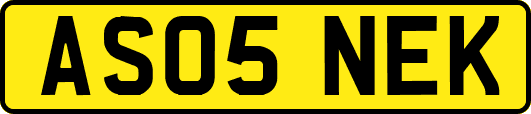 AS05NEK
