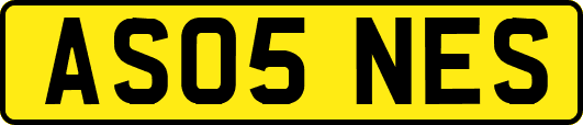 AS05NES