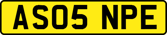 AS05NPE