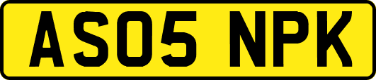 AS05NPK