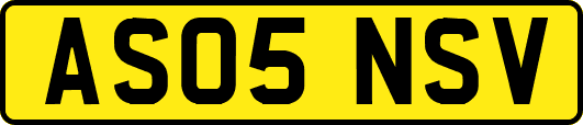 AS05NSV