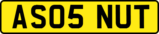 AS05NUT