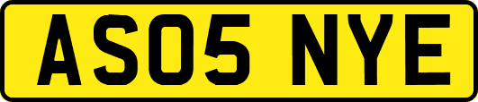 AS05NYE