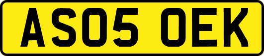 AS05OEK