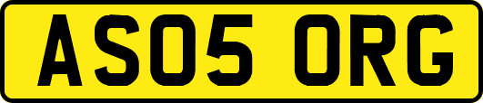 AS05ORG
