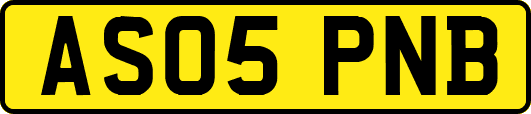 AS05PNB