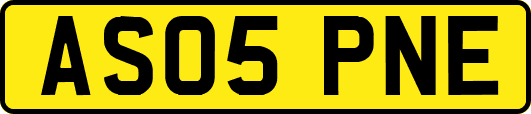 AS05PNE