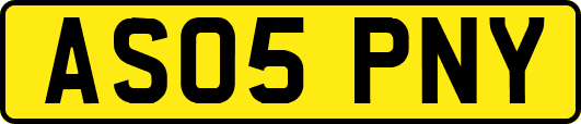 AS05PNY