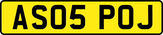 AS05POJ