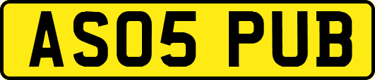 AS05PUB
