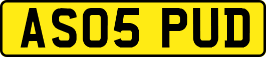 AS05PUD