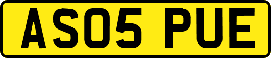 AS05PUE