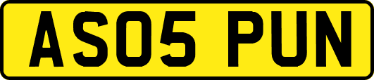 AS05PUN