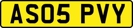 AS05PVY