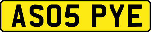 AS05PYE