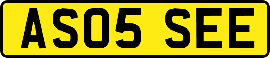 AS05SEE
