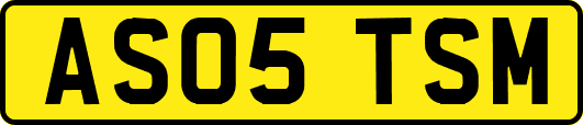 AS05TSM