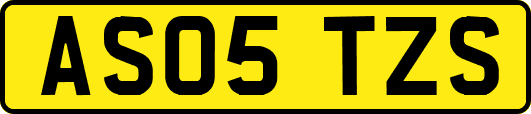 AS05TZS