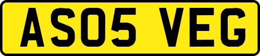 AS05VEG