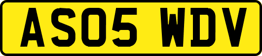 AS05WDV