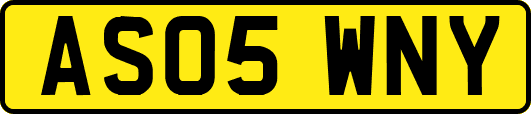 AS05WNY