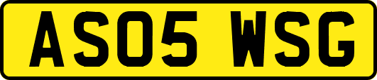 AS05WSG