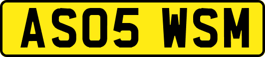 AS05WSM