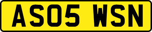 AS05WSN