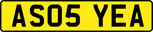 AS05YEA