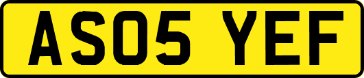 AS05YEF