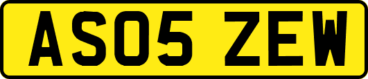 AS05ZEW