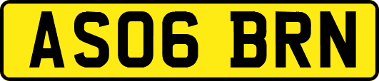 AS06BRN