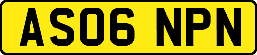 AS06NPN