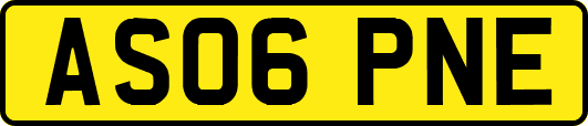 AS06PNE