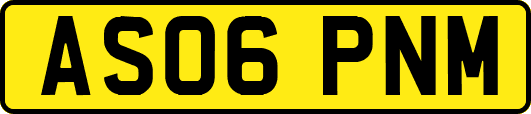 AS06PNM