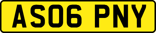 AS06PNY