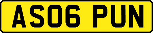 AS06PUN