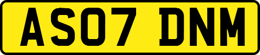 AS07DNM