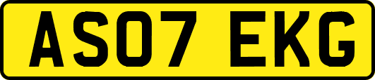 AS07EKG
