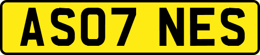 AS07NES