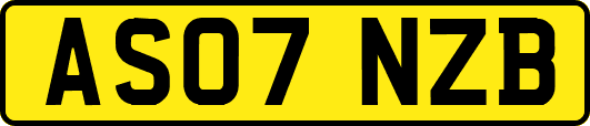 AS07NZB