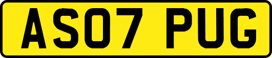 AS07PUG
