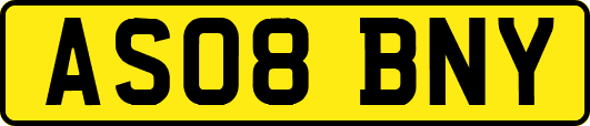 AS08BNY