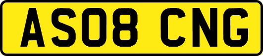 AS08CNG
